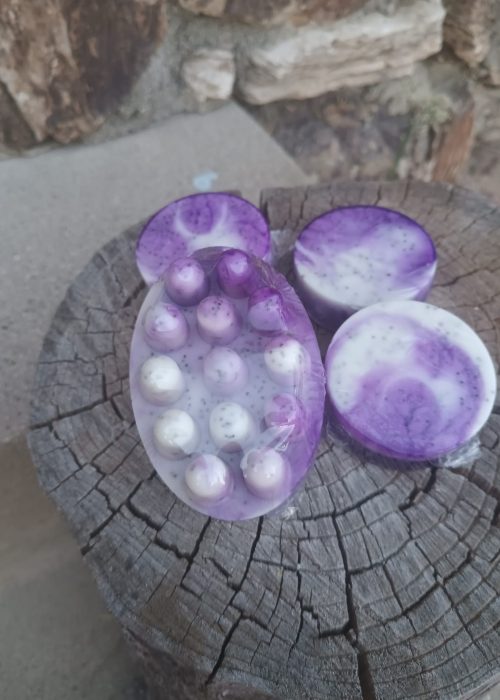 WhatsApp Image 2024-10-23 at 7.20.03 PM